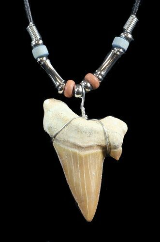 Fossil Otodus Shark Tooth Necklace #43074